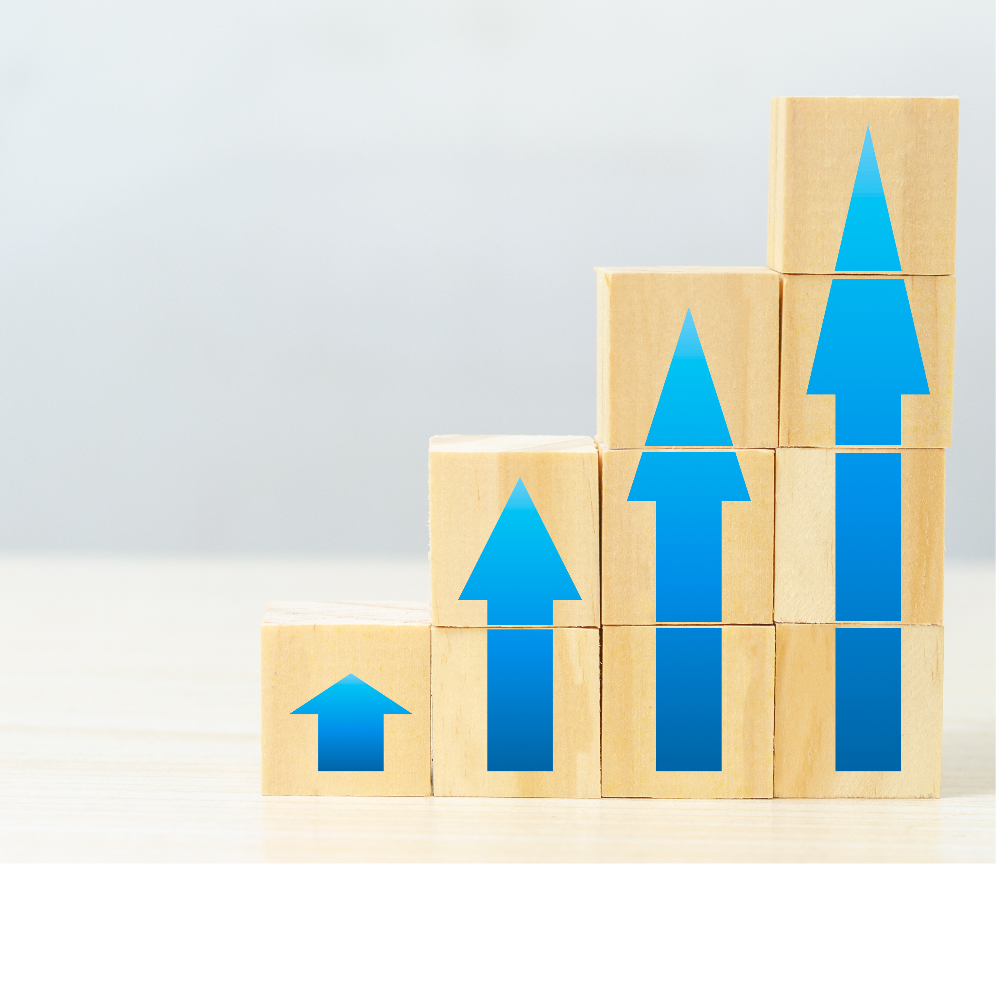 継続的な運用の確保が困難