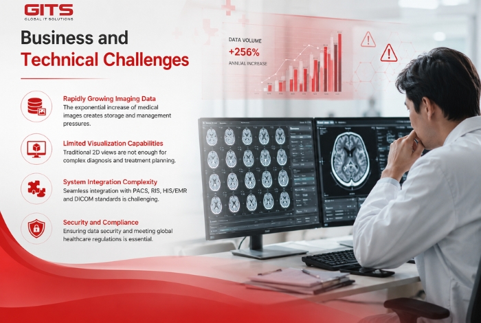 Business and Technical Challenges