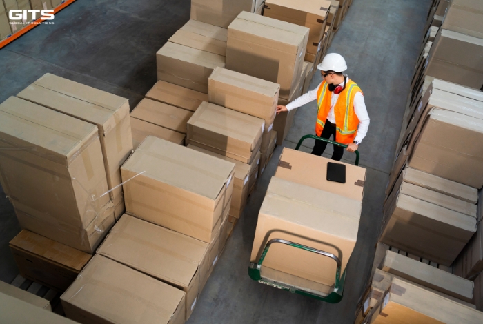 Why Customs Documentation Remains a Critical Logistics Challenge