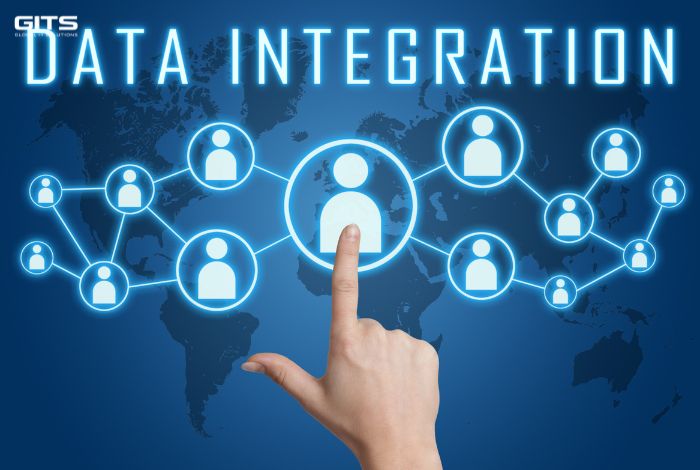 Enterprise System Integration